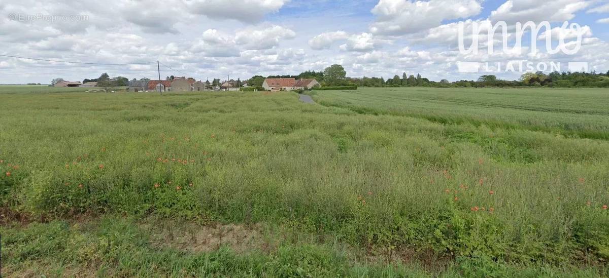 Terrain à CHAMPIGNY-EN-BEAUCE