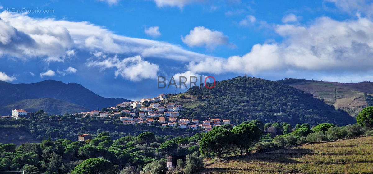 Appartement à BANYULS-SUR-MER