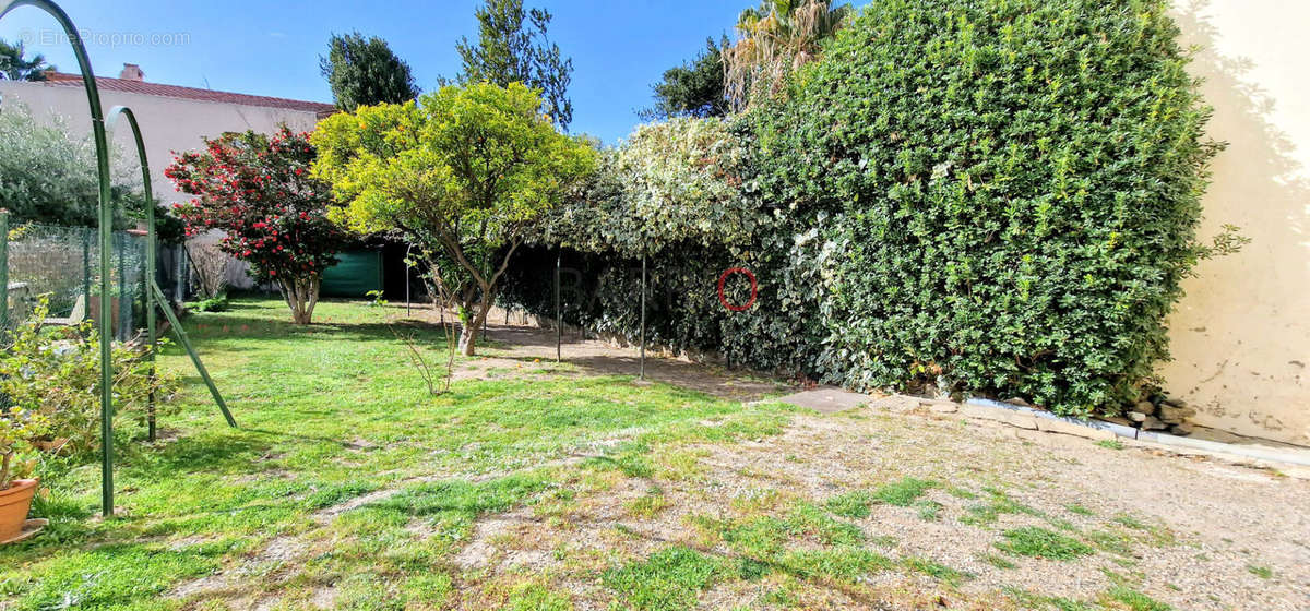 Appartement à BANYULS-SUR-MER