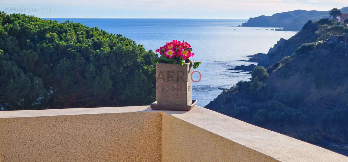 Appartement à BANYULS-SUR-MER