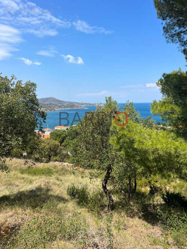 Maison à BANYULS-SUR-MER