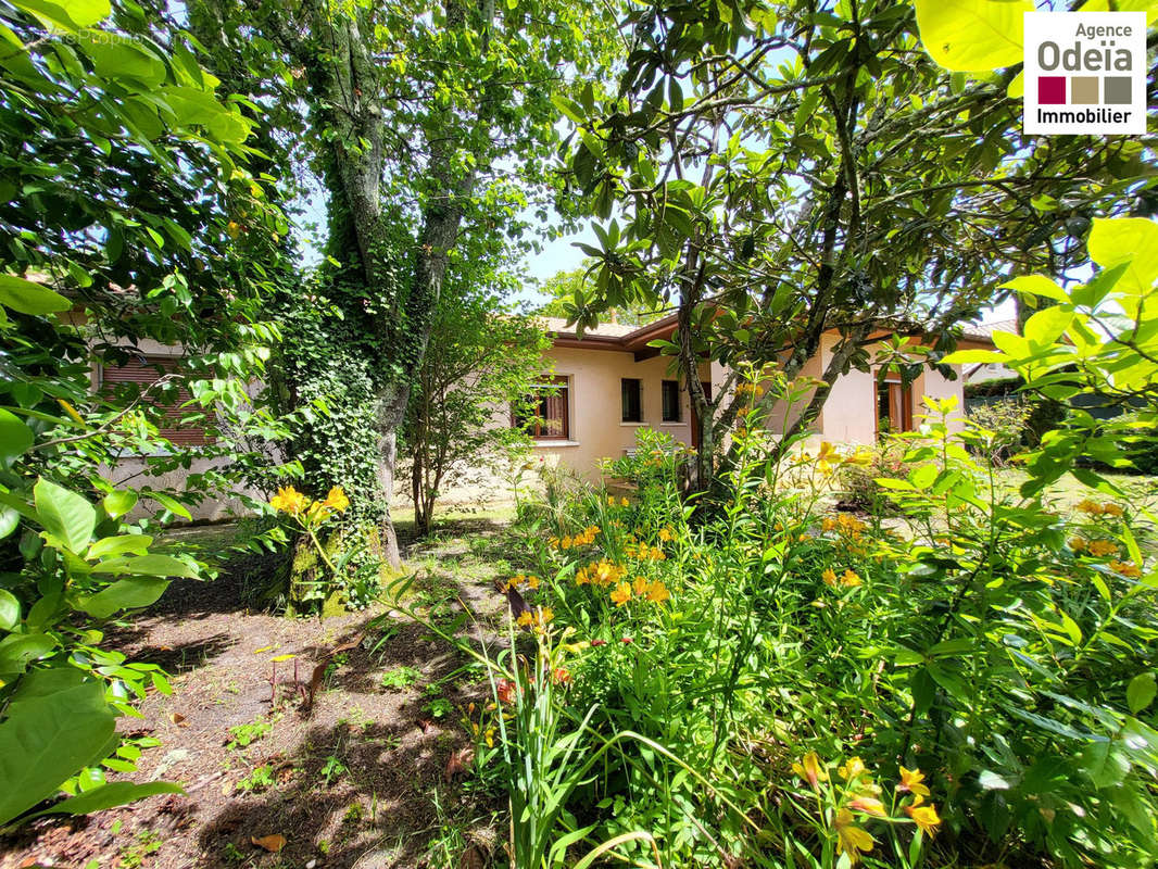 Jardin - Agence Odeïa Immobilier - Maison à AUDENGE