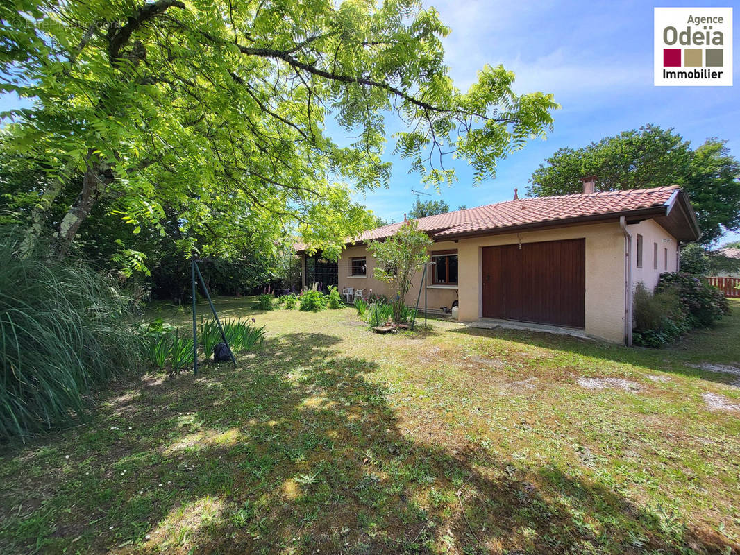 Jardin arrière - Agence Odeïa Immobilier - Maison à AUDENGE