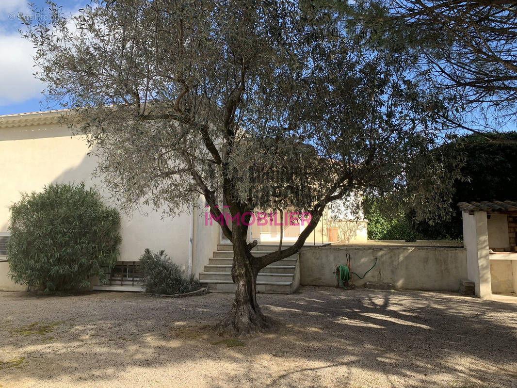 Maison à CARPENTRAS