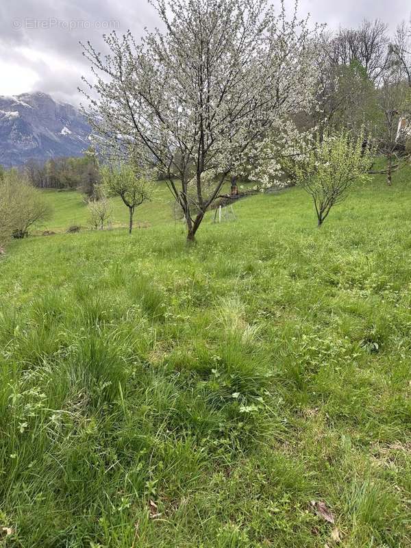 Terrain à SAINT-GERVAIS-LES-BAINS