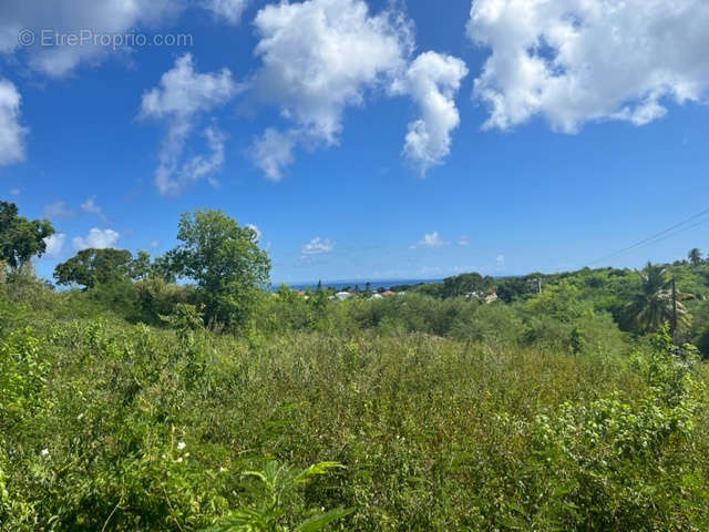 Terrain à SAINT-FRANCOIS