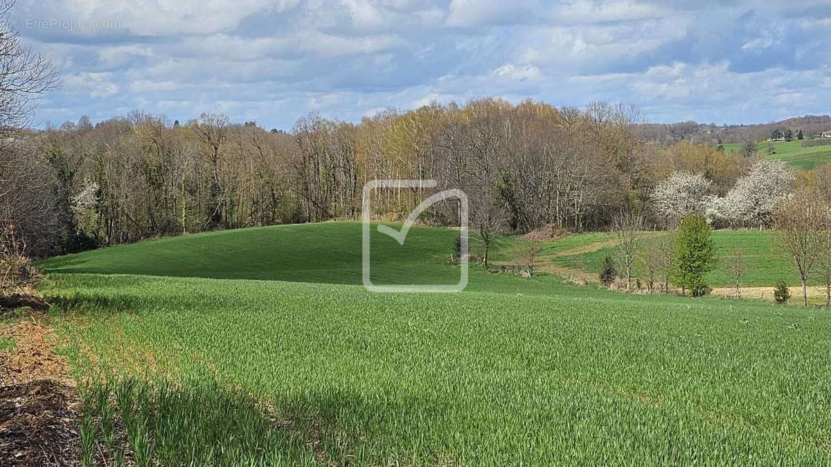 Terrain à VIGNOLS