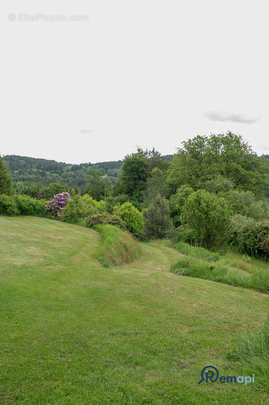 Maison à LE THOLY