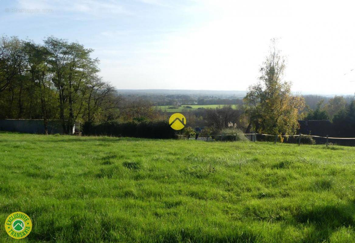 Terrain à LANGEAIS