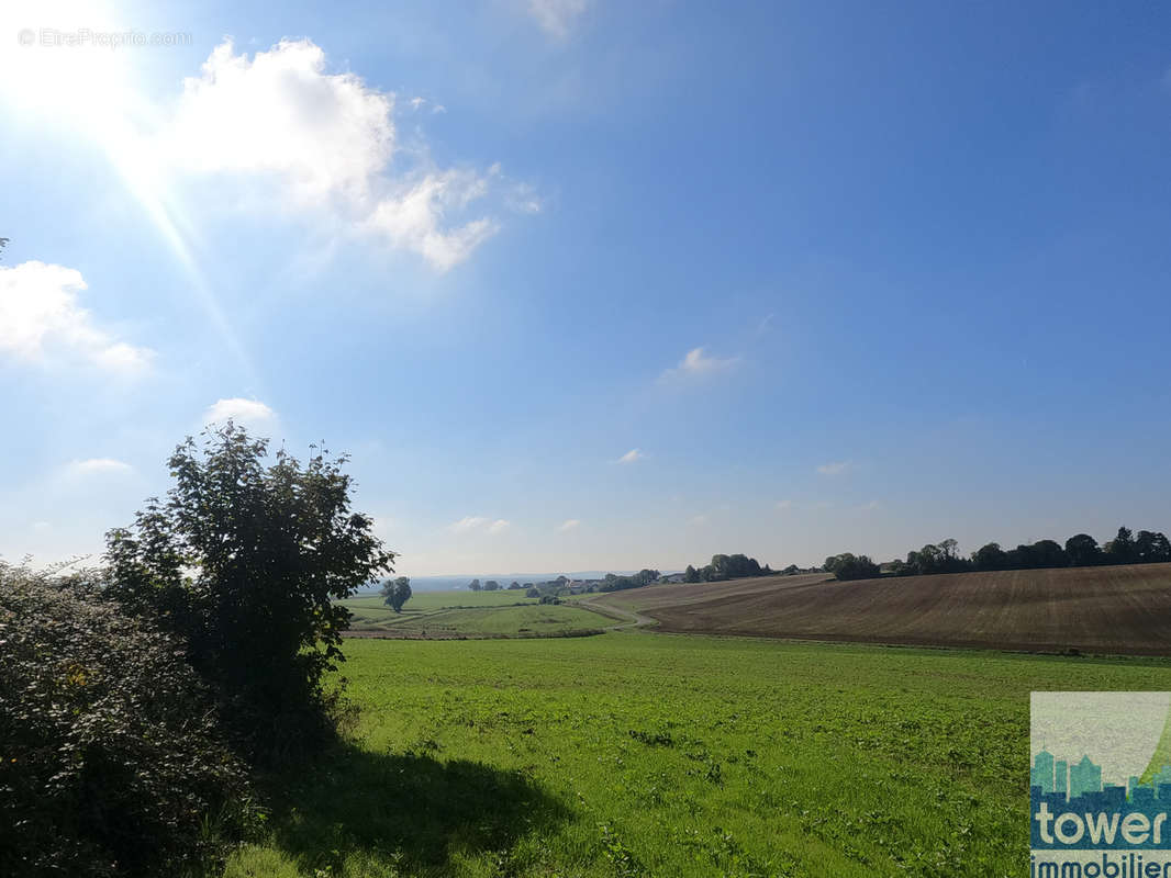 Terrain à CAILLOUEL-CREPIGNY