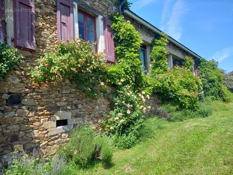 Maison à SAUVETERRE-DE-ROUERGUE