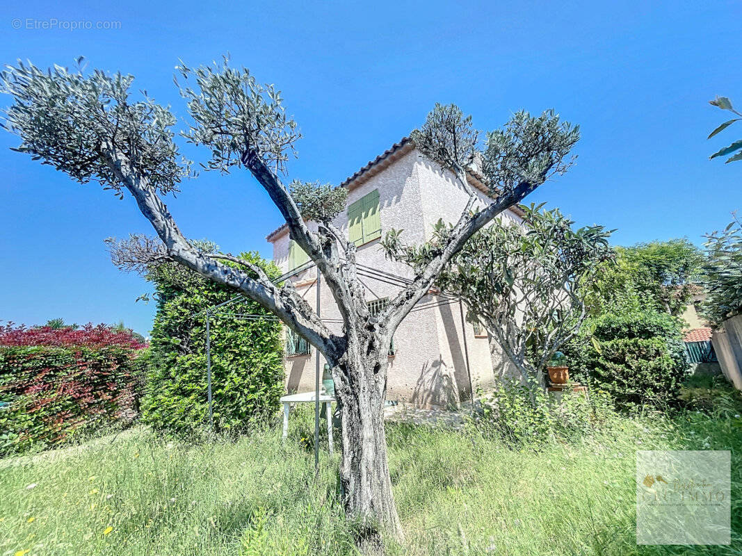 Maison à PERPIGNAN