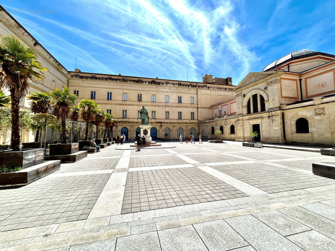 Commerce à AJACCIO