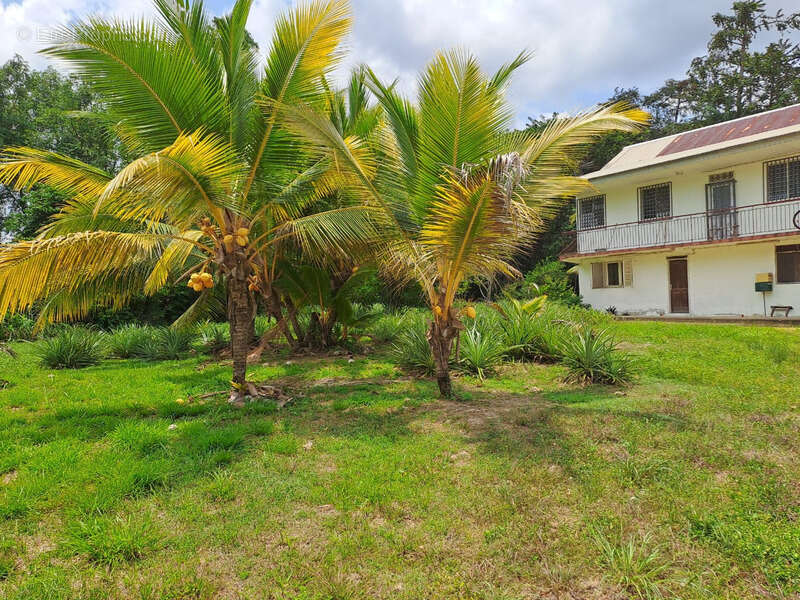 Maison à IRACOUBO