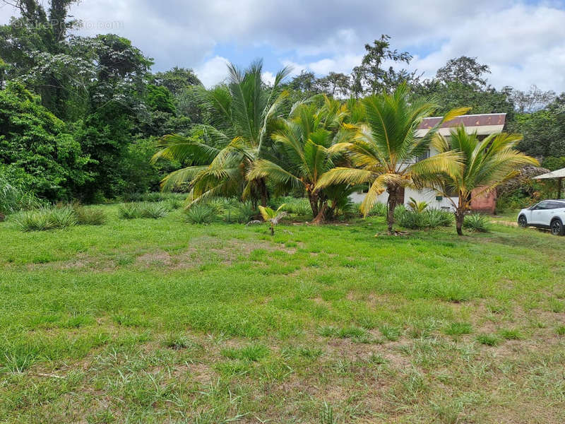 Maison à IRACOUBO