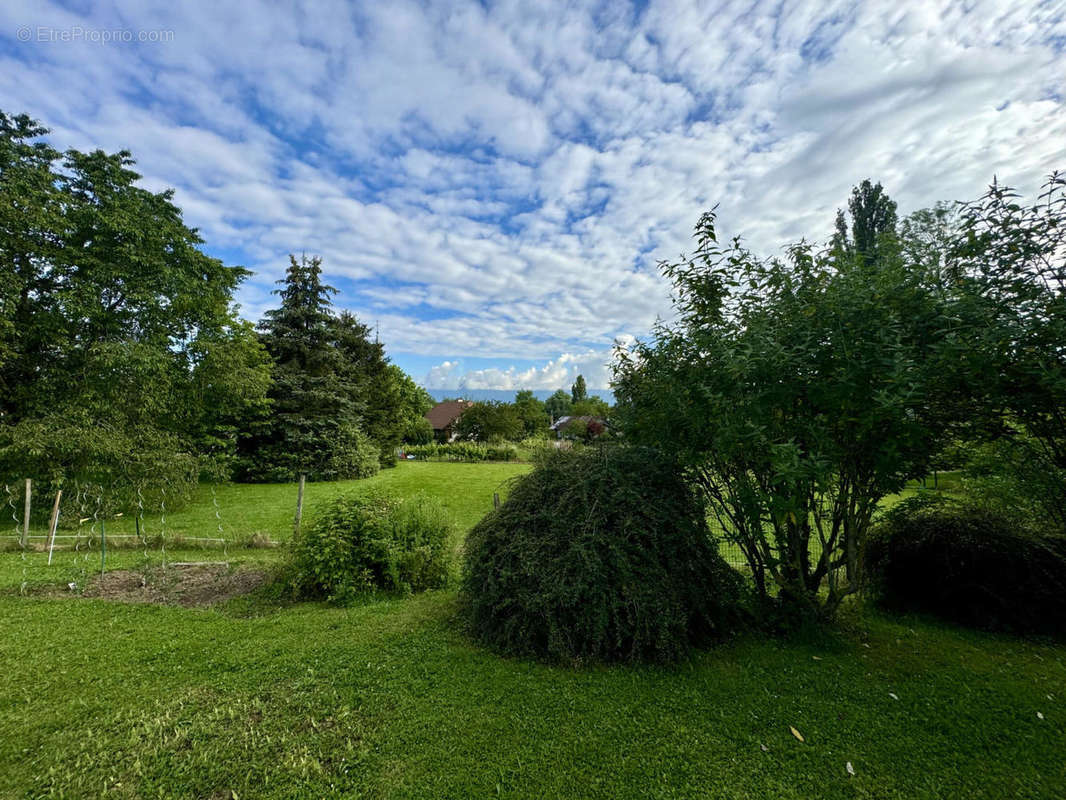 vue - Terrain à CHENEX