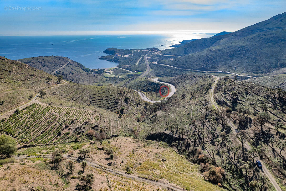 Terrain à BANYULS-SUR-MER