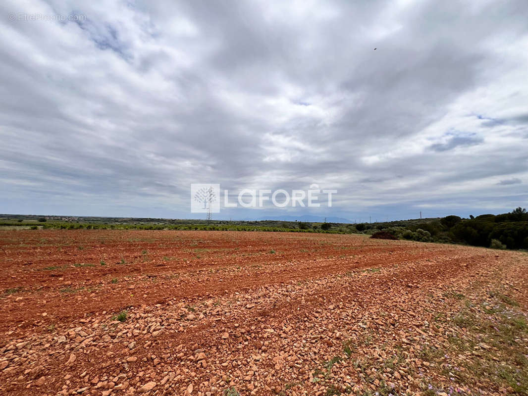 Terrain à BAIXAS