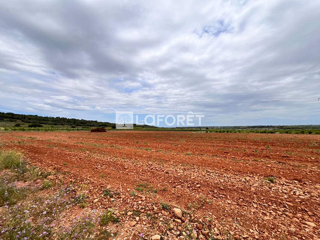 Terrain à BAIXAS