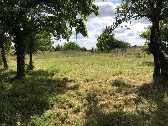 Terrain à NIEUL-SUR-L&#039;AUTISE