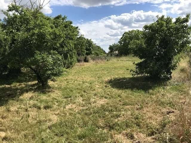 Terrain à NIEUL-SUR-L&#039;AUTISE