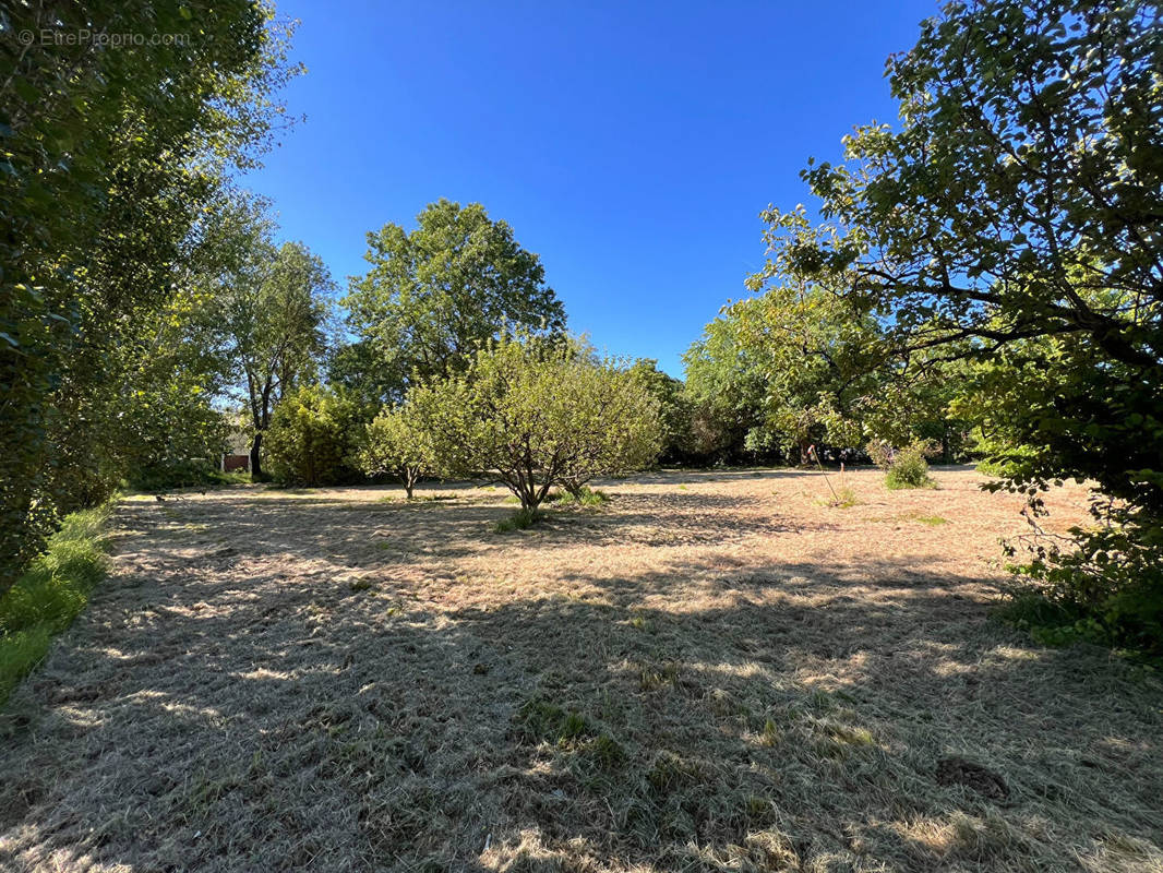 Terrain à AIZENAY