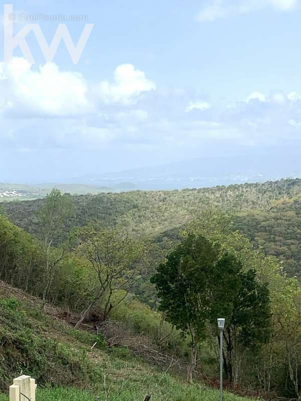 Terrain à SAINTE-LUCE