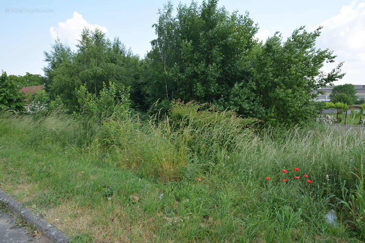 Terrain à BEAUTOR