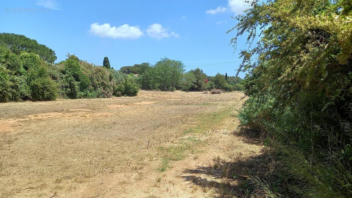 Photo 1 - Terrain à LA SEYNE-SUR-MER