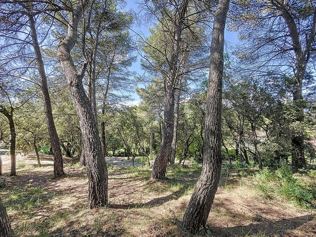 Terrain à LA BASTIDONNE