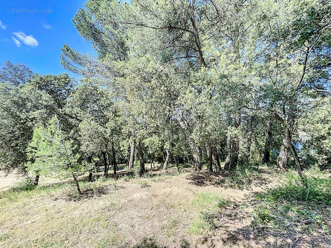 Terrain à LA BASTIDONNE