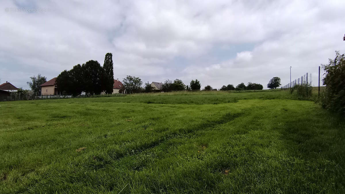 Terrain à PHALSBOURG