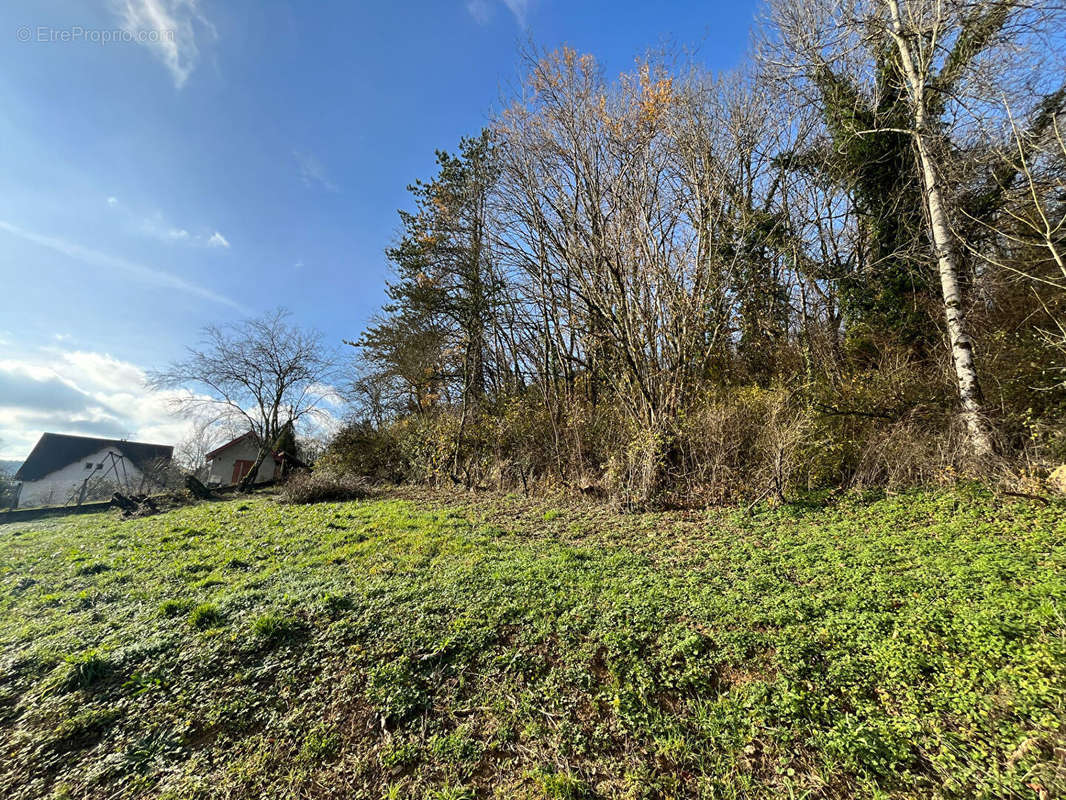 Terrain à LONS-LE-SAUNIER