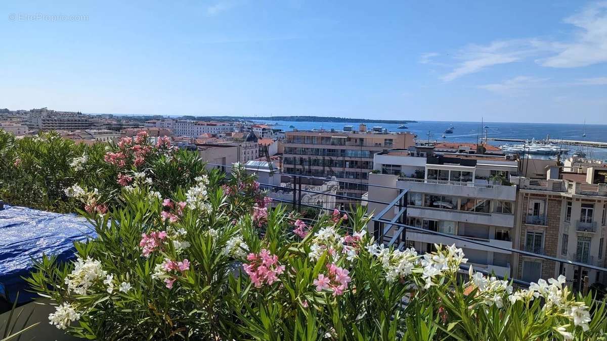 Maison à CANNES