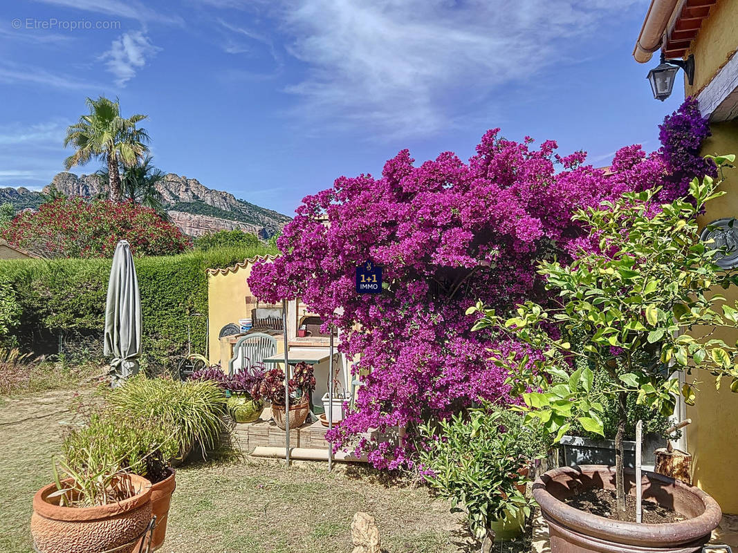 Maison à ROQUEBRUNE-SUR-ARGENS