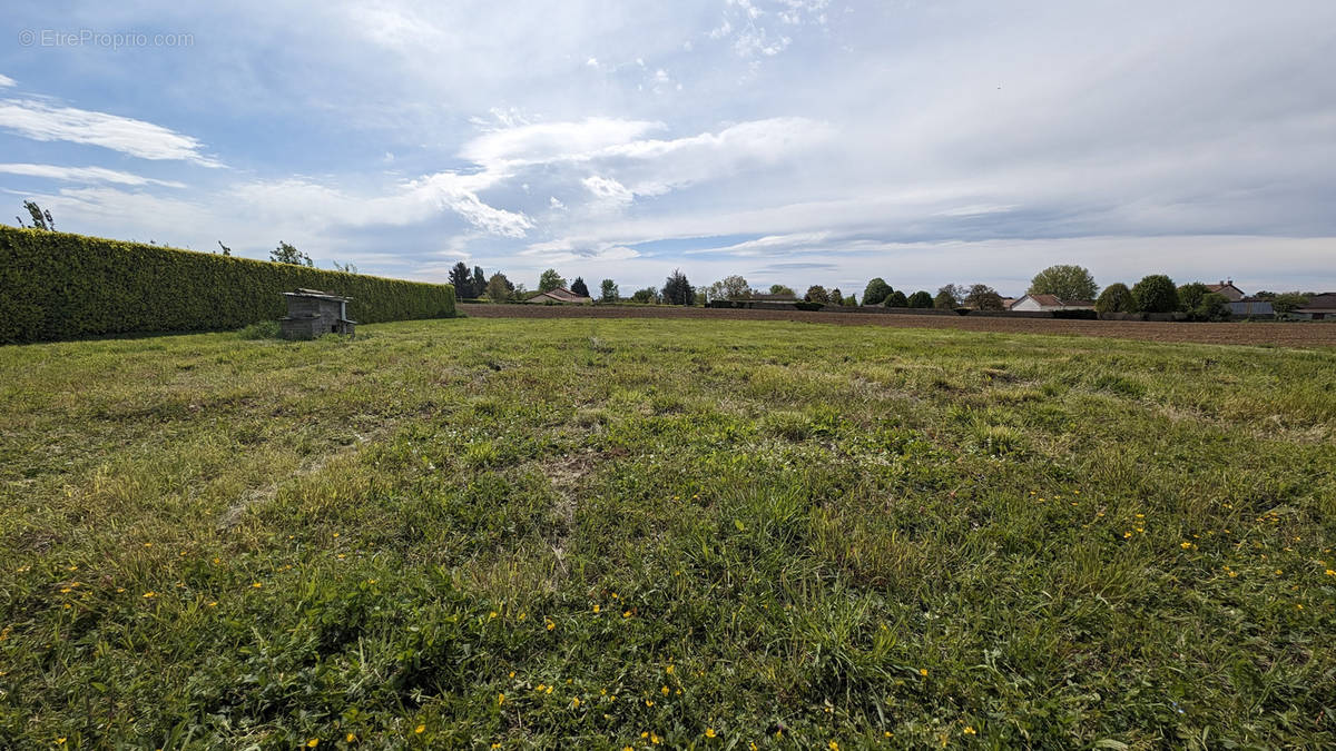 Terrain à CHAZEY-SUR-AIN