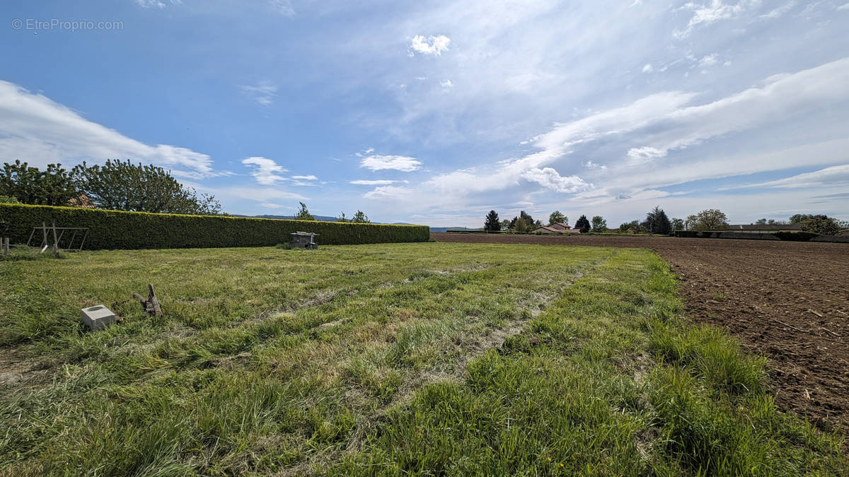 Terrain à CHAZEY-SUR-AIN