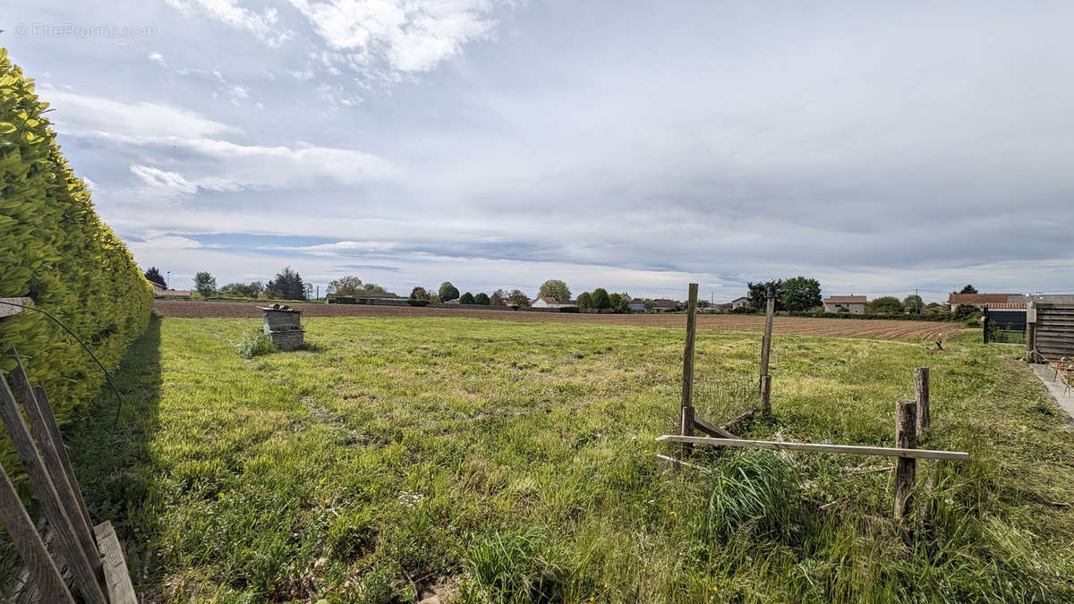 Terrain à CHAZEY-SUR-AIN