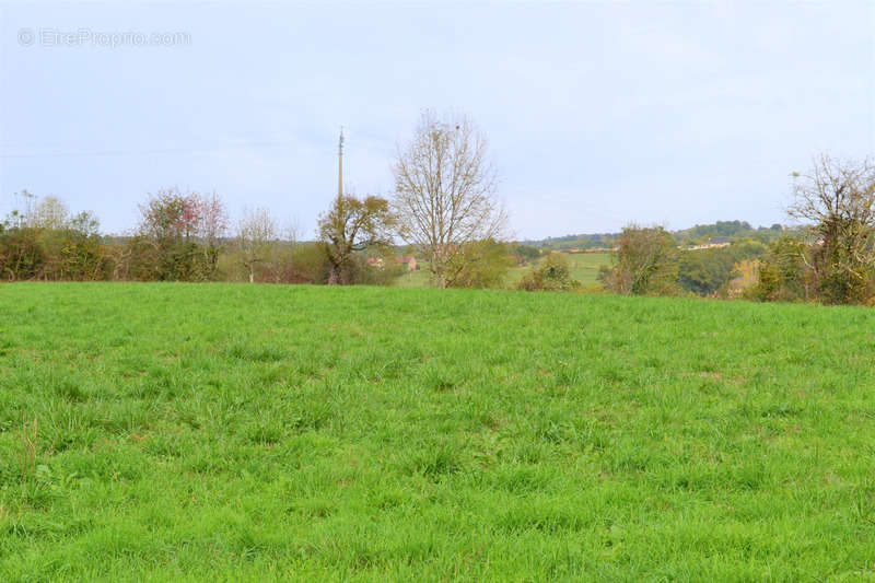 Terrain à MEYSSAC