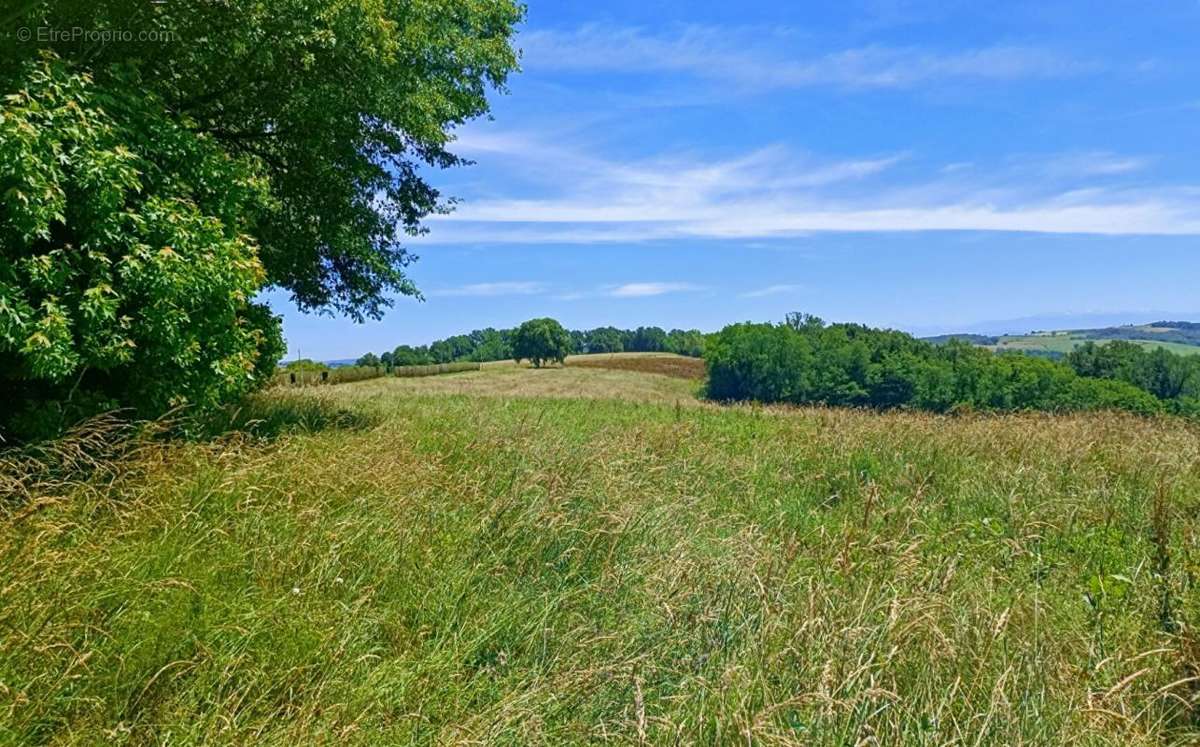 Terrain à BIDACHE