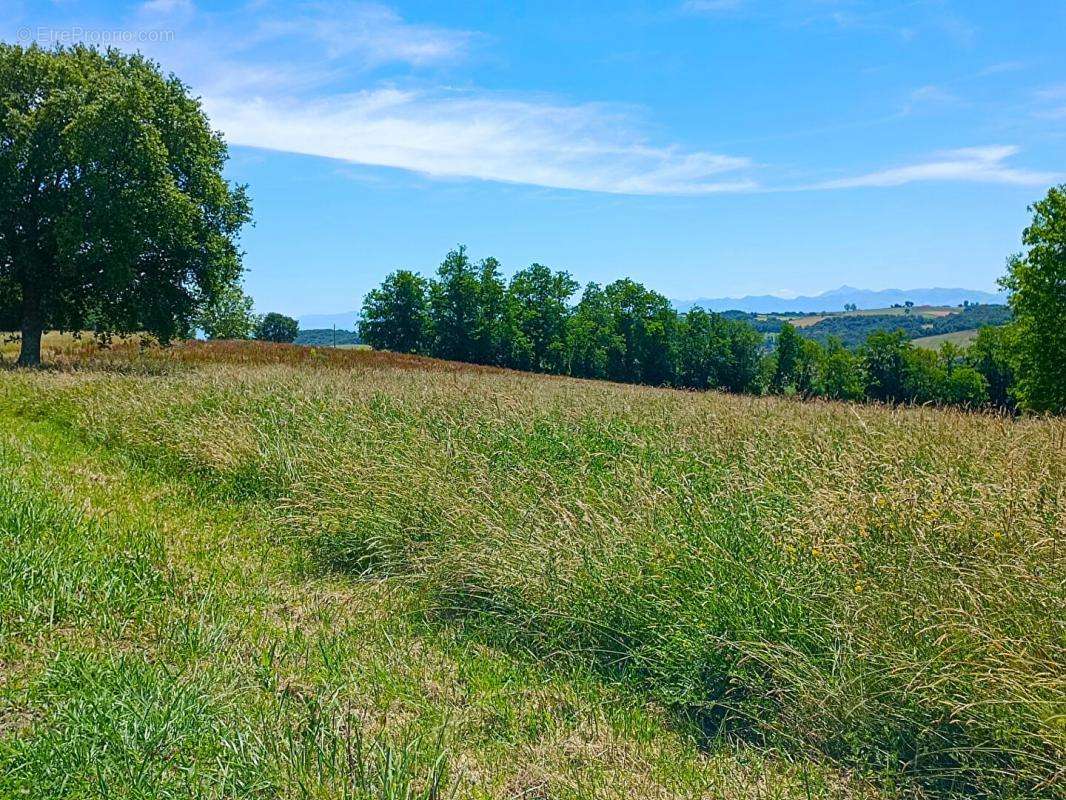 Terrain à BIDACHE