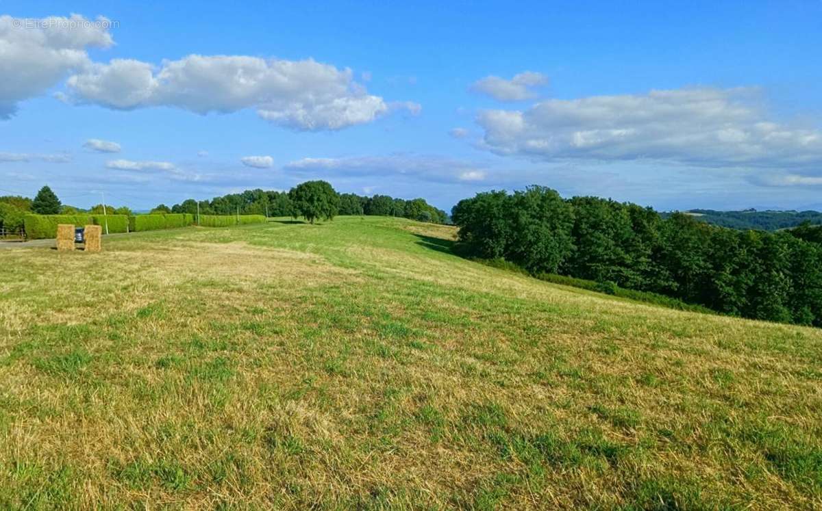 Terrain à BIDACHE