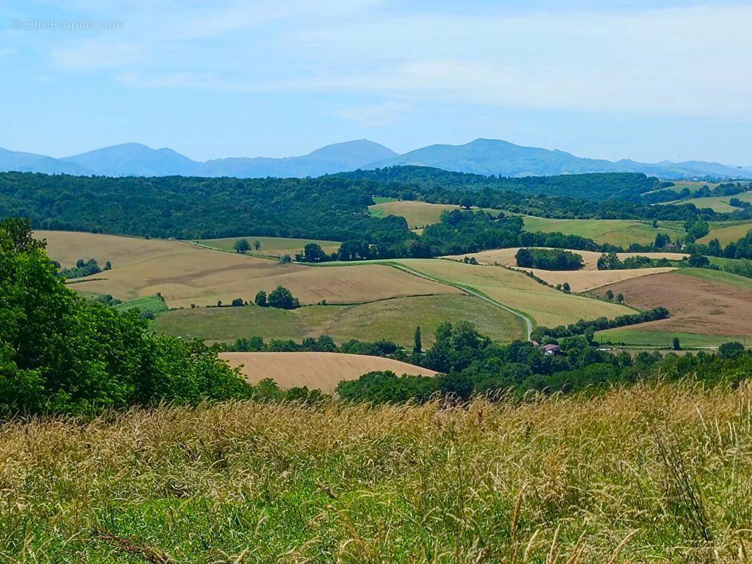 Terrain à BIDACHE