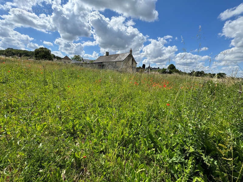 Terrain à JARZE