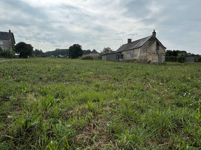 Terrain à JARZE