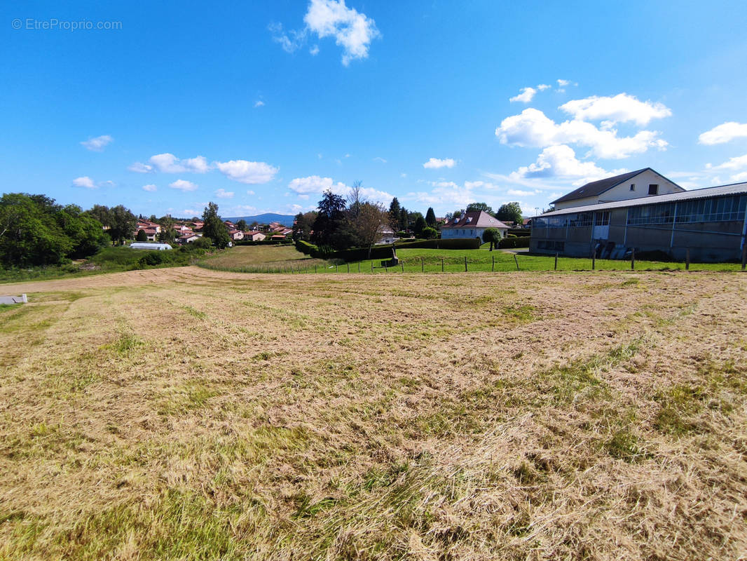 Terrain à CELLES-SUR-DUROLLE