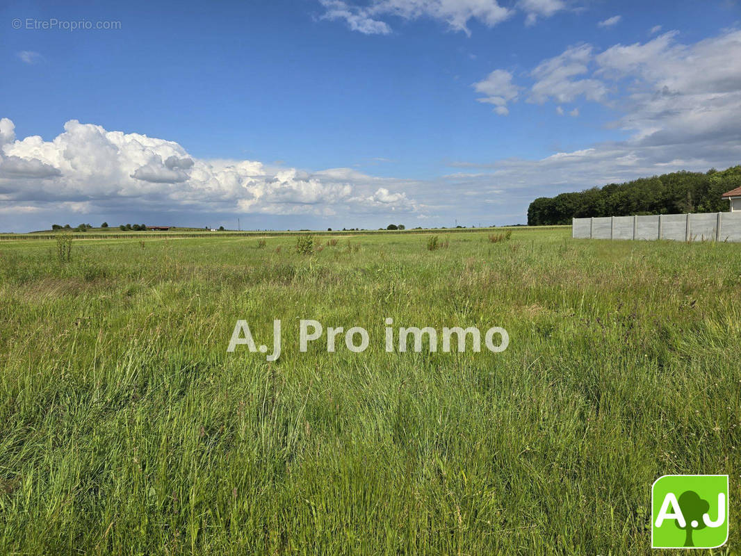 Terrain à GROSSOEUVRE