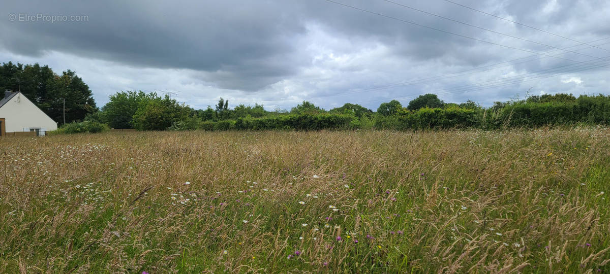 Terrain à DREFFEAC