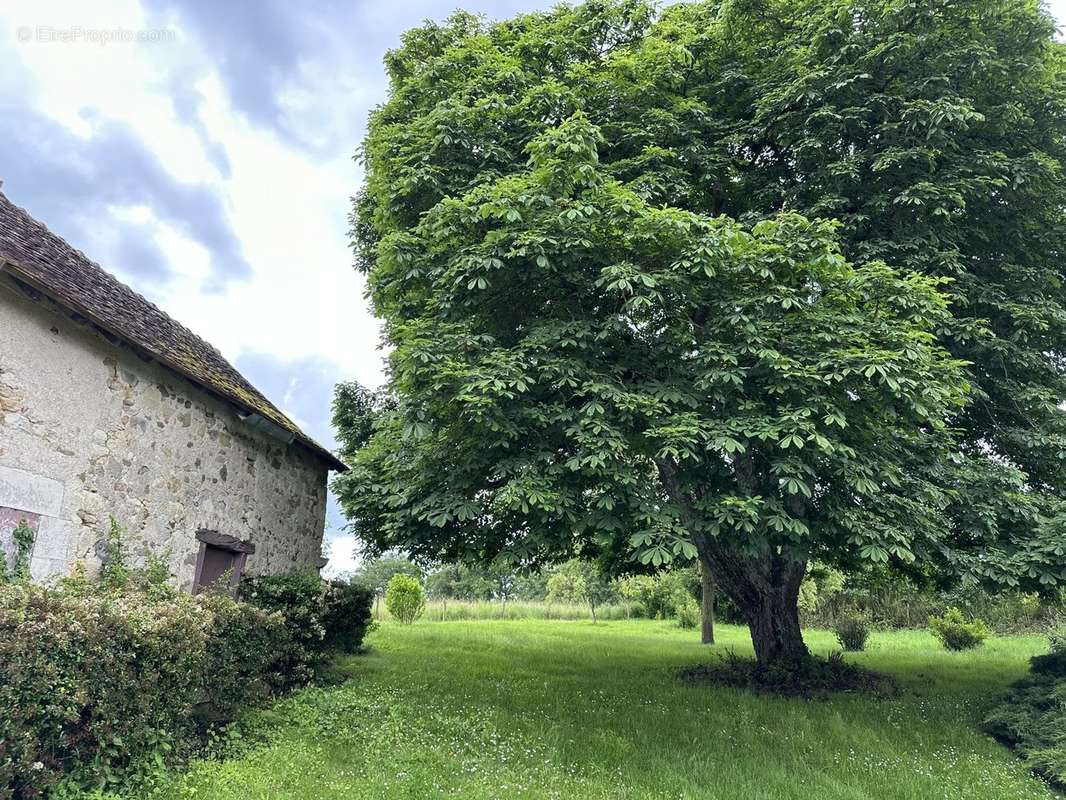 Maison à LA TRIMOUILLE