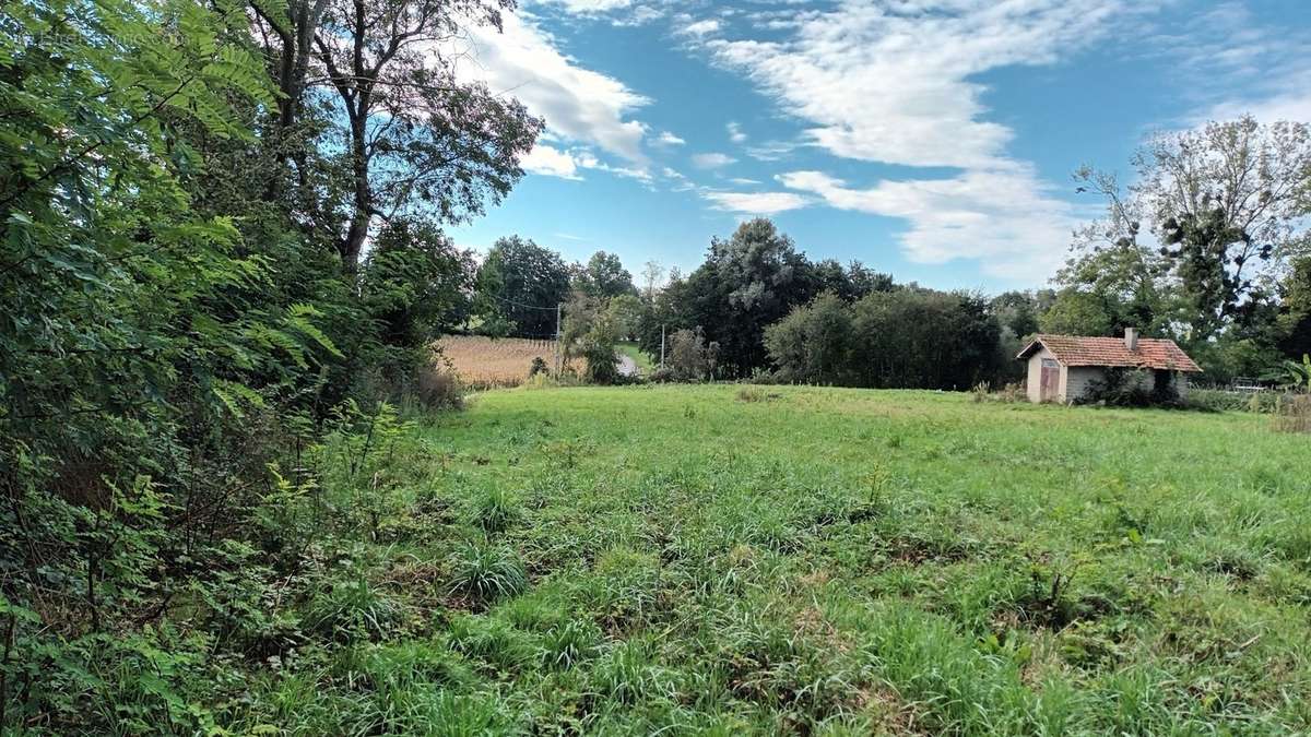 Terrain à MONTREVEL-EN-BRESSE